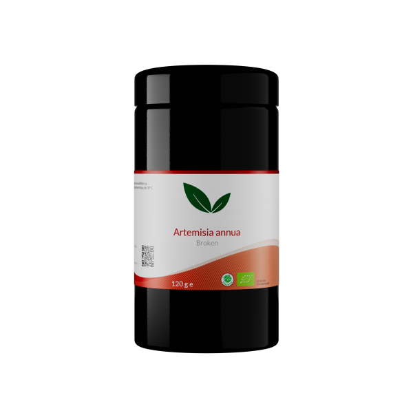 Bio Artemisia annua Blattschnitt